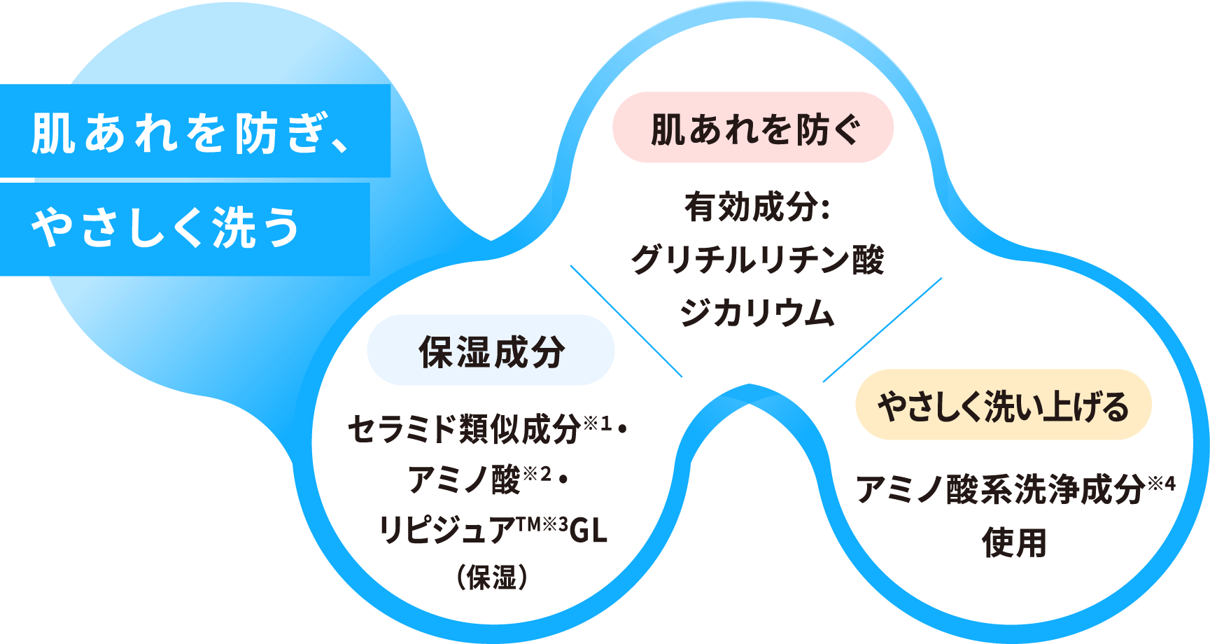 肌あれを防ぎ、やさしく洗う | [保湿成分] セラミド類似成分※１アミノ酸※２・リピジュアTM※３GL（保湿） [肌あれを防ぐ] 有効成分:グリチルリチン酸ジカリウム [やさしく洗い上げる]アミノ酸系洗浄成分※4使用