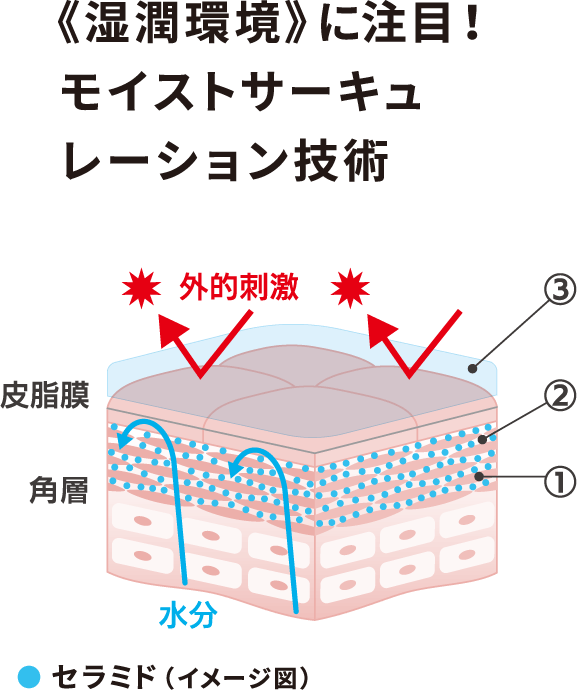 湿潤環境に注目！モイストサーキュレーション技術