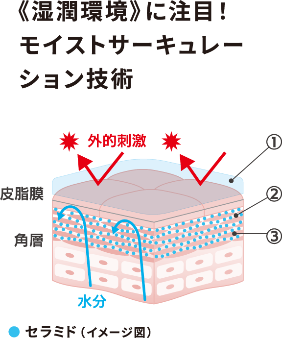 湿潤環境に注目！モイストサーキュレーション技術