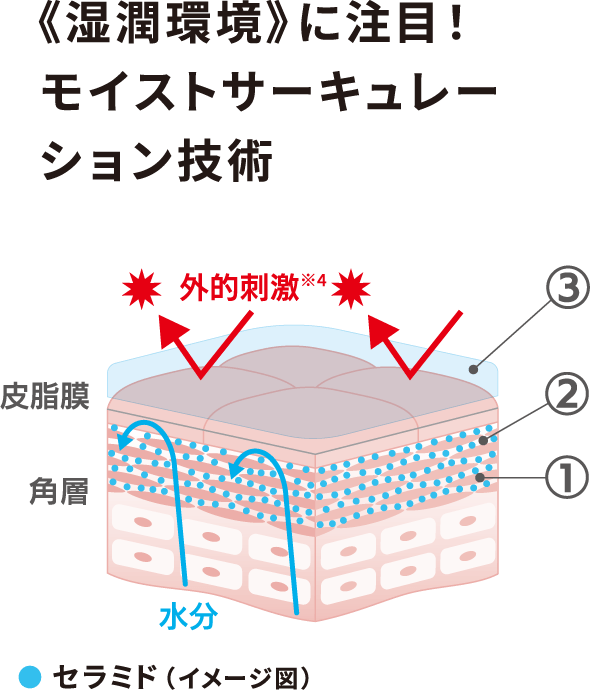 湿潤環境に注目！モイストサーキュレーション技術