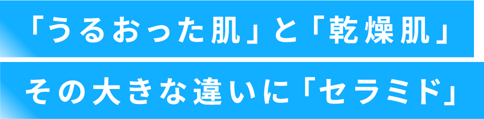 「うるおった肌」と「乾燥肌」その大きな違いに「セラミド」